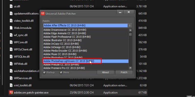 chọn phiên bản lightroom như hình