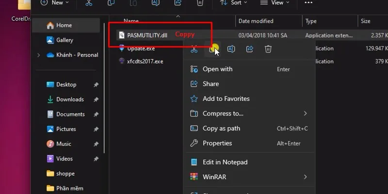 vào lại thư mục kích hoạt và coppy File PASMUTILITY.dll